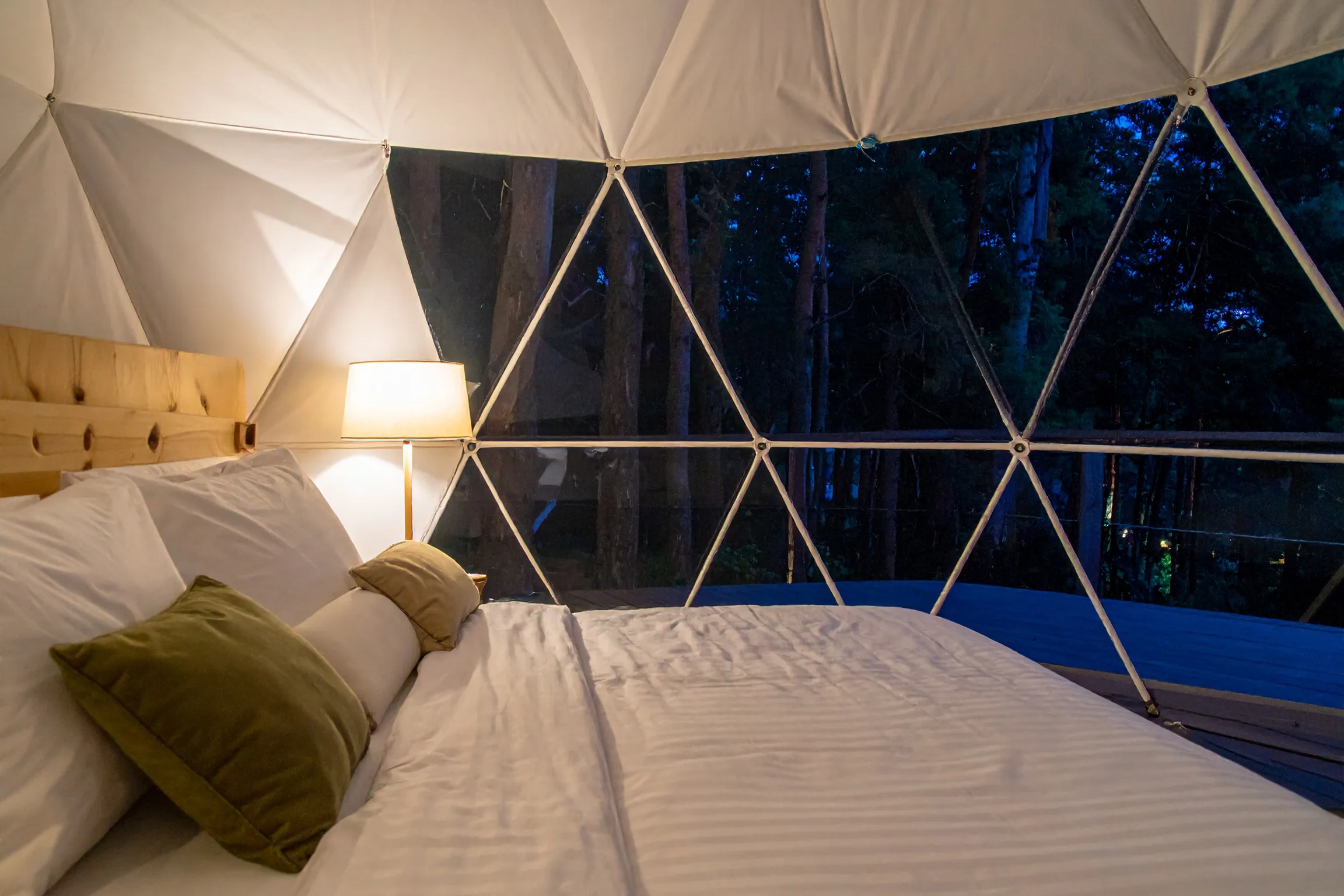 グランピングのテントの内側から外の夜景を写した画像