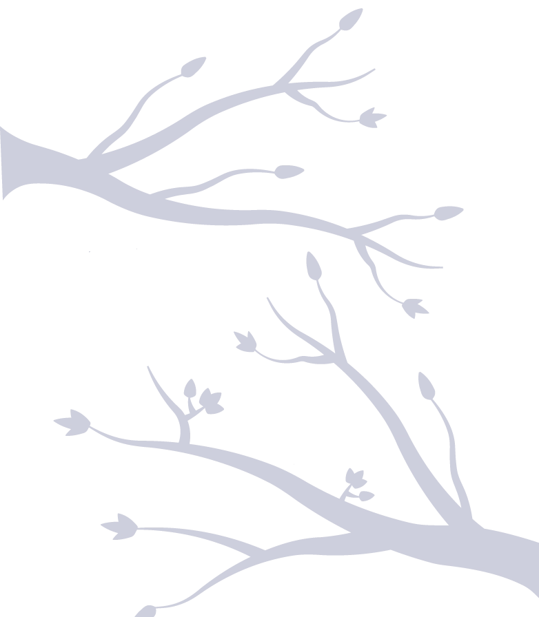 静かな森をイメージした背景画像