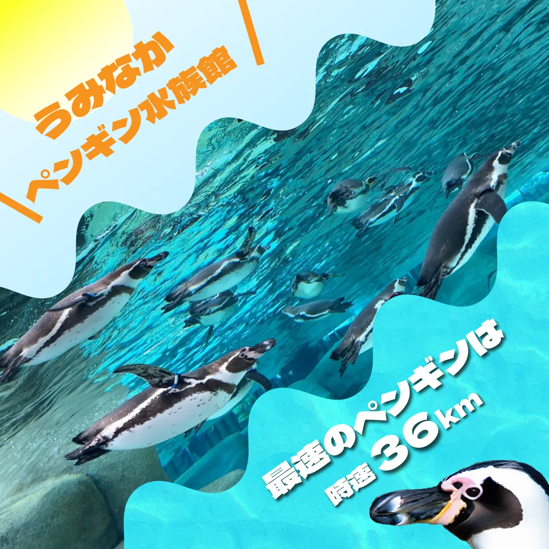 ペンギン水族館のインスタバナー画像