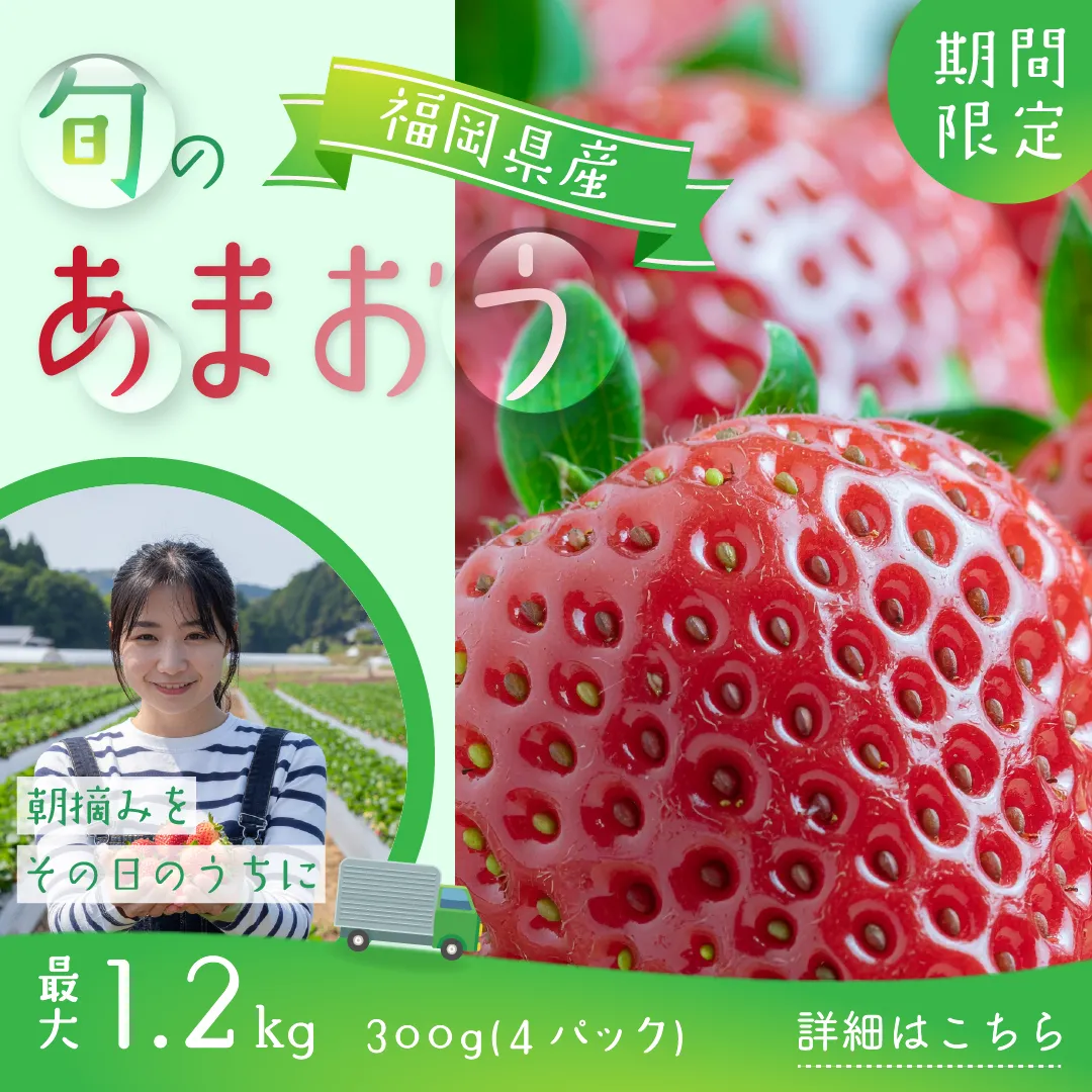 あまおうの返礼品バナー画像