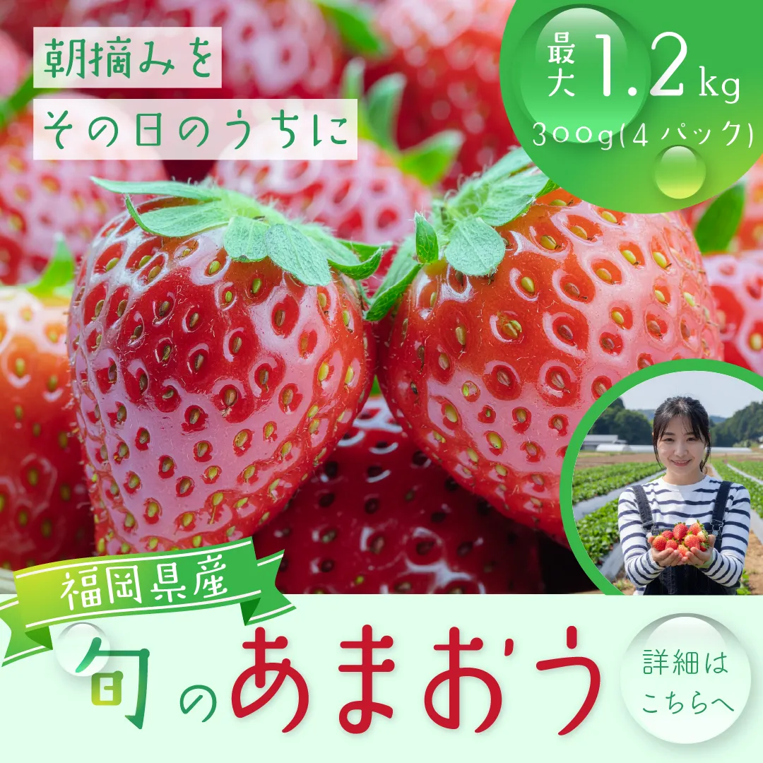 あまおうの返礼品バナー画像