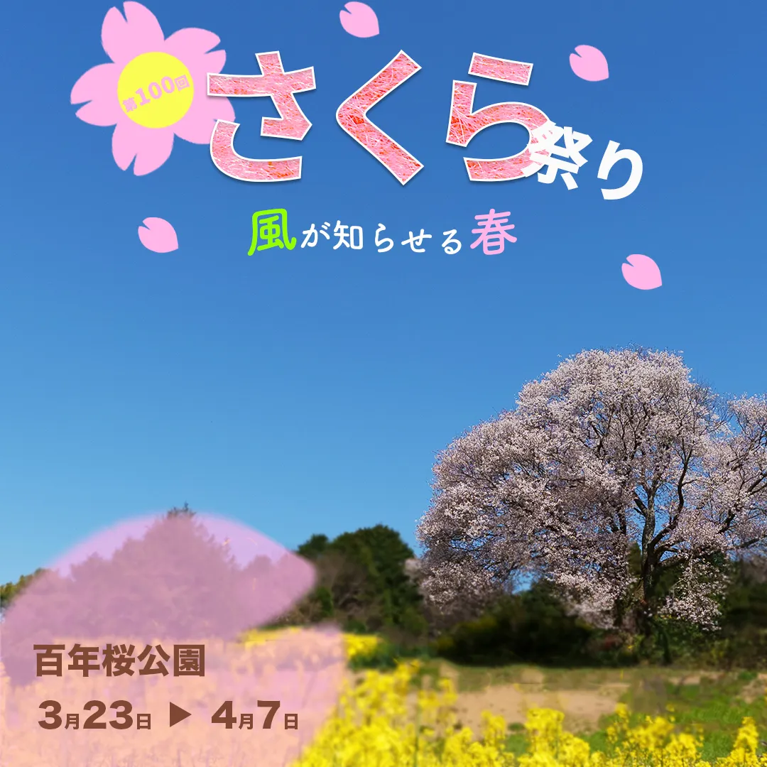 桜まつりのインスタバナー画像