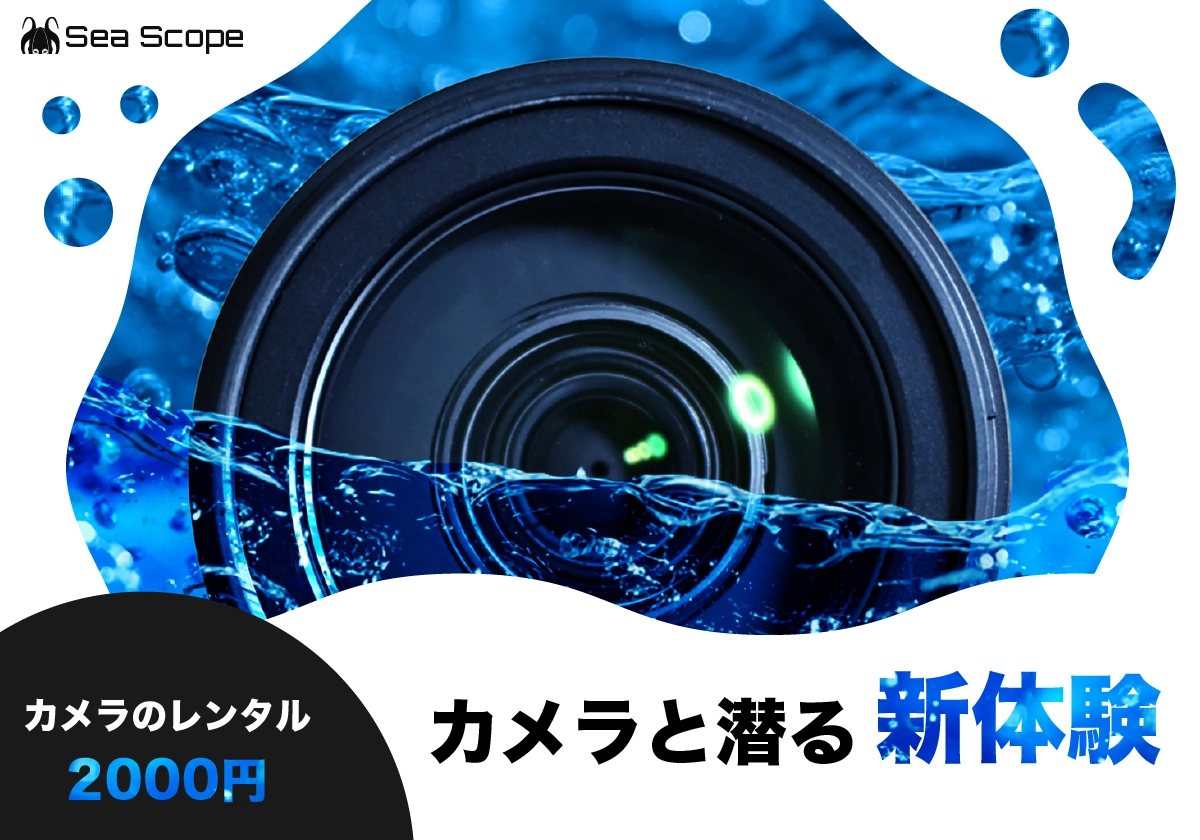 ダイビングショップウェブバナー画像