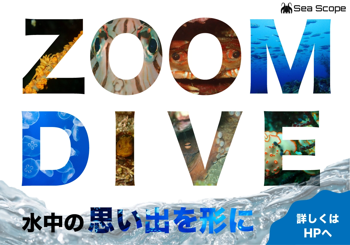 ダイビングショップウェブバナー画像