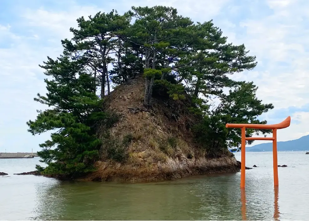 ターミナルの画像