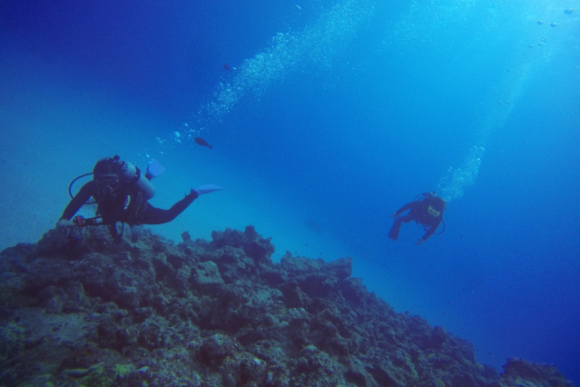 団体コースを受けているダイバーの画像