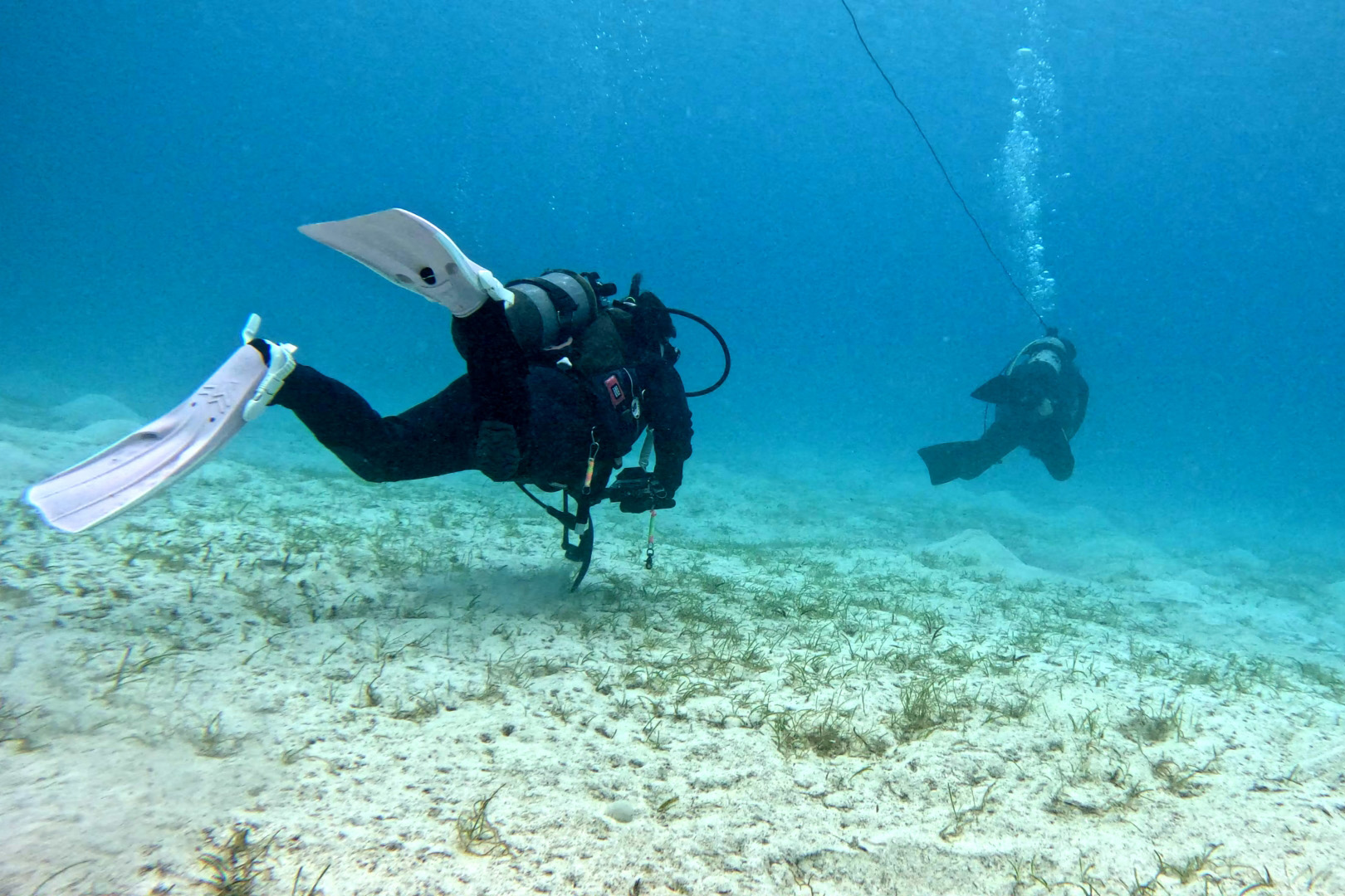 ダイビングしている2人が泳いでいる画像