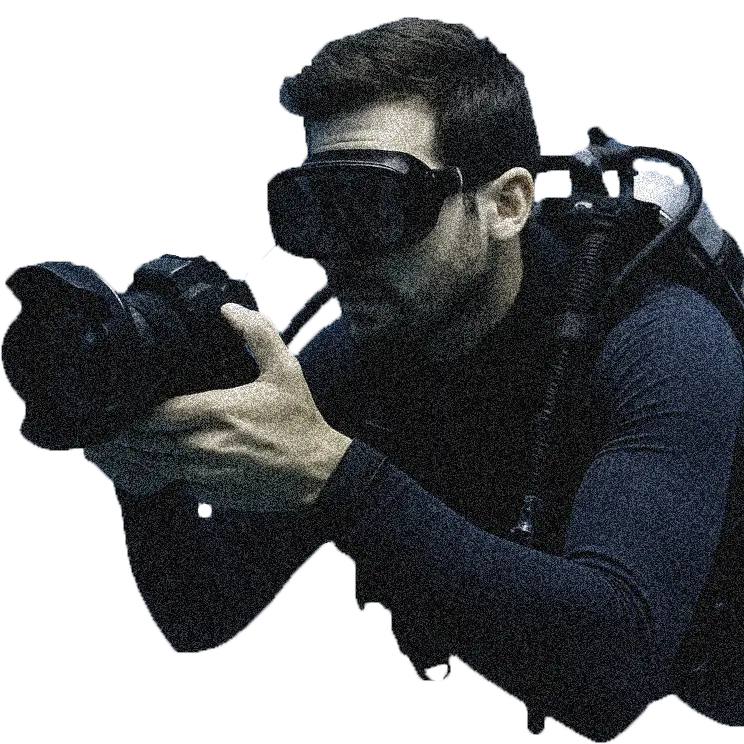 スタッフの拡大画像