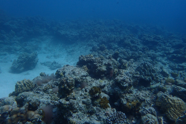 浅瀬の岩場の画像